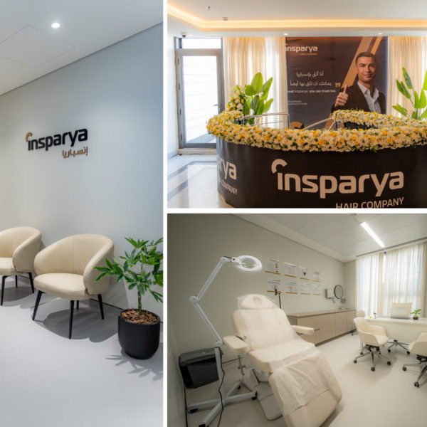 Grupo Insparya icon-image